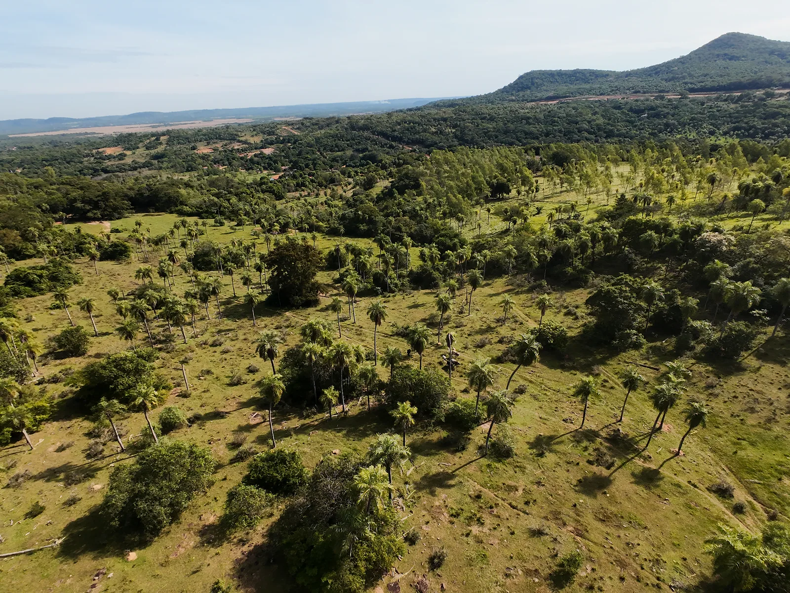 Pirayú Hills